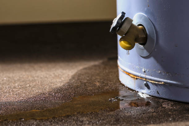 Best Water damage restoration near me  in Ele, AR