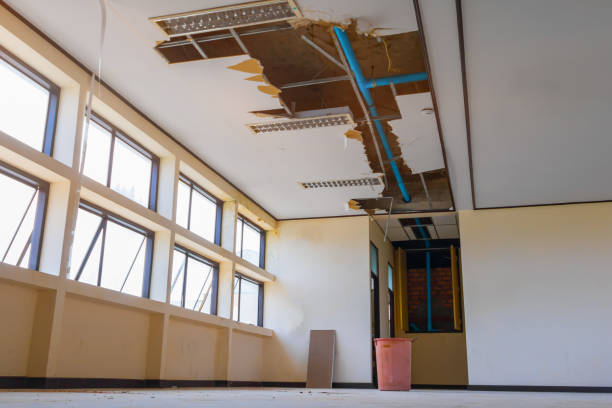 Best Local water damage restoration  in Ele, AR