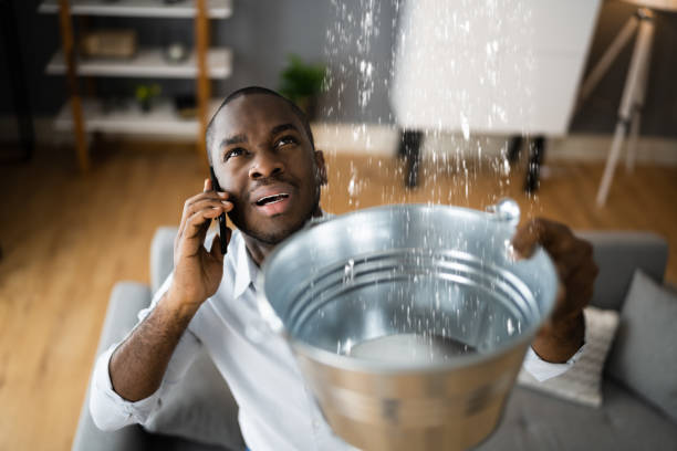 Best Water damage restoration near me  in Ele, AR