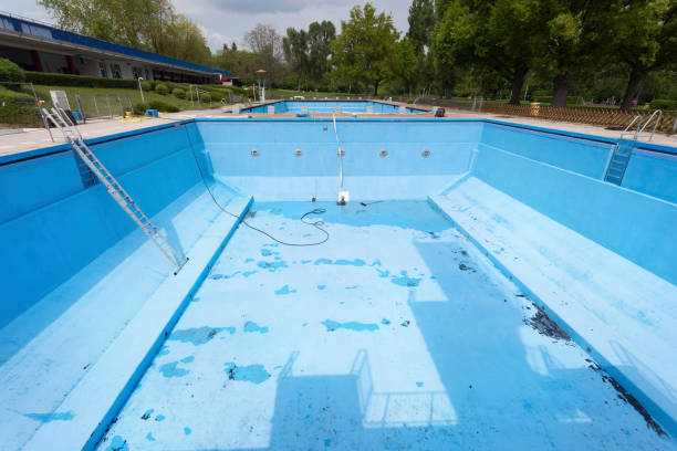 Best Professional water damage repair  in Ele, AR