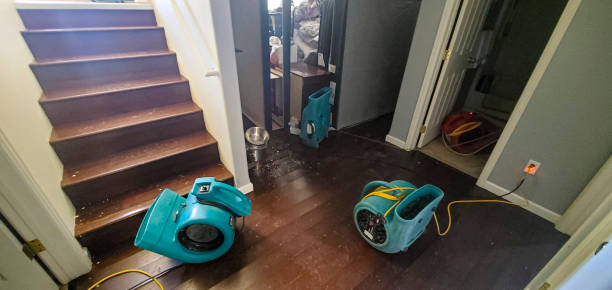 Best Fire Damage Restoration  in Ele, AR