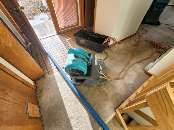 Best Flooded house restoration  in Ele, AR