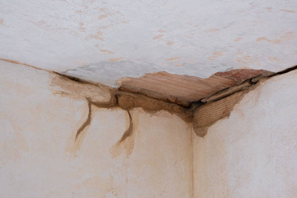Best Flood restoration services  in Ele, AR