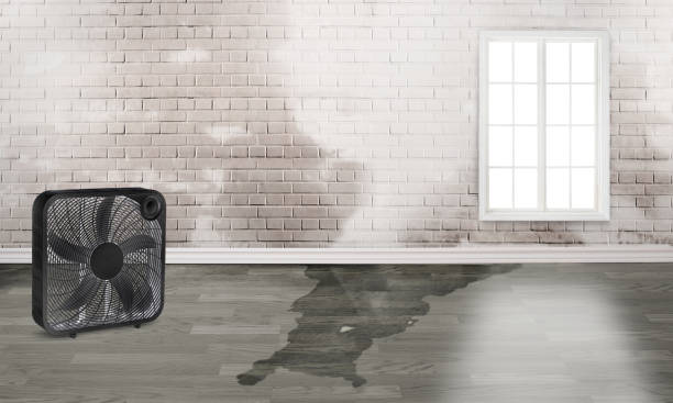 Best Water damage restoration insurance claims  in Ele, AR
