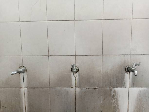 Best 24/7 water damage repair  in Ele, AR