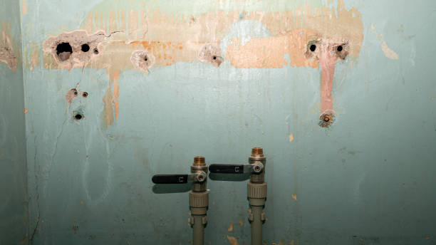 Best Ceiling water damage repair  in Ele, AR