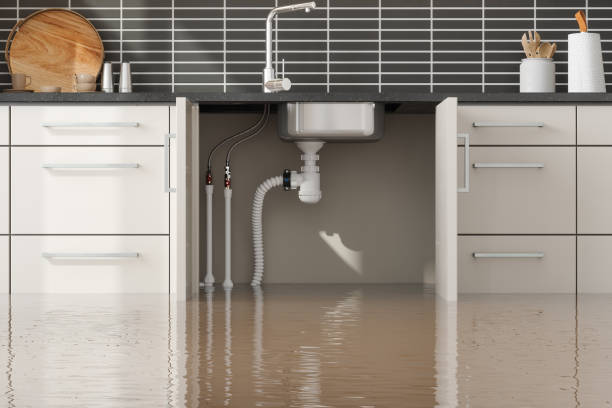 Best Water damage restoration near me  in Ele, AR